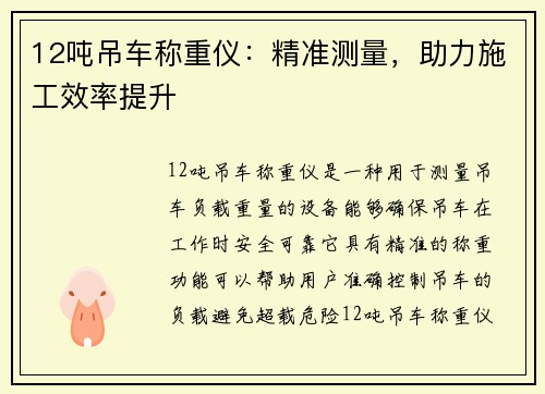 12吨吊车称重仪：精准测量，助力施工效率提升