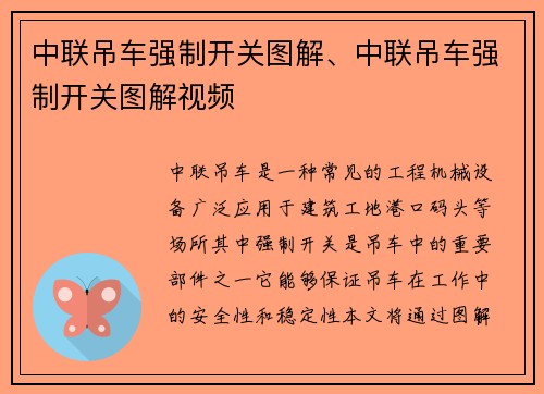 中联吊车强制开关图解、中联吊车强制开关图解视频